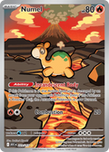 Numel 223/217 ME03