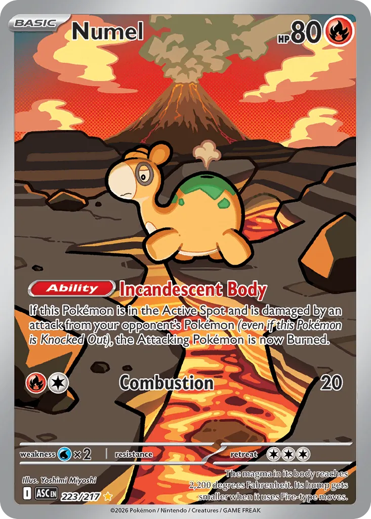 Numel 223/217 ME03
