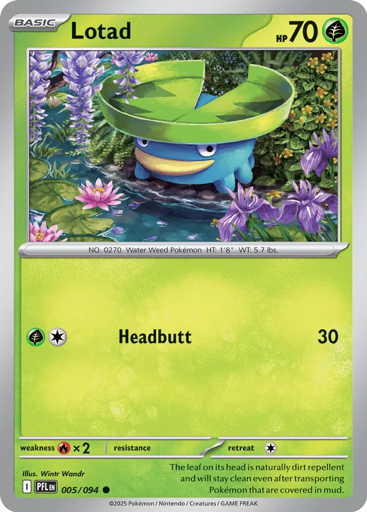 Lotad 005/094 ME02